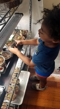 Child reaching for a plant pot on a shelf in a dimly lit setting.