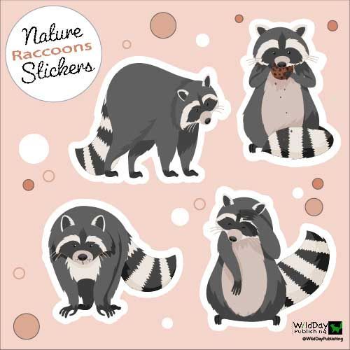 Nature raccoons sticker set, pink background, featuring four cartoon raccoons in different poses.