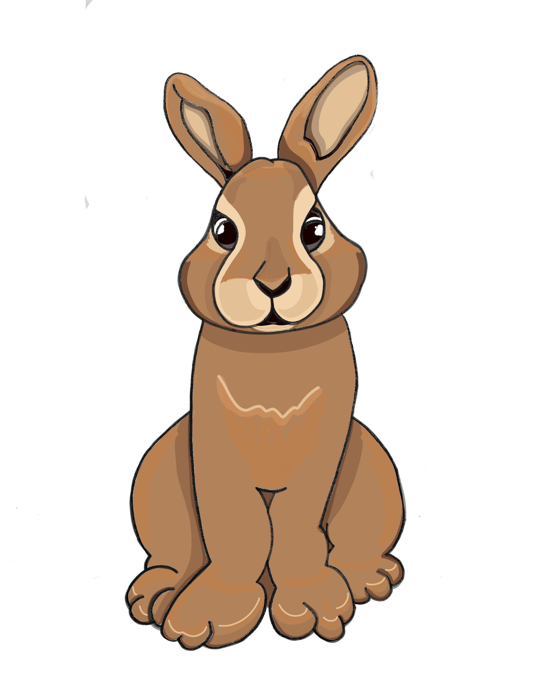 Brown bunny sitting, facing forward with large ears.