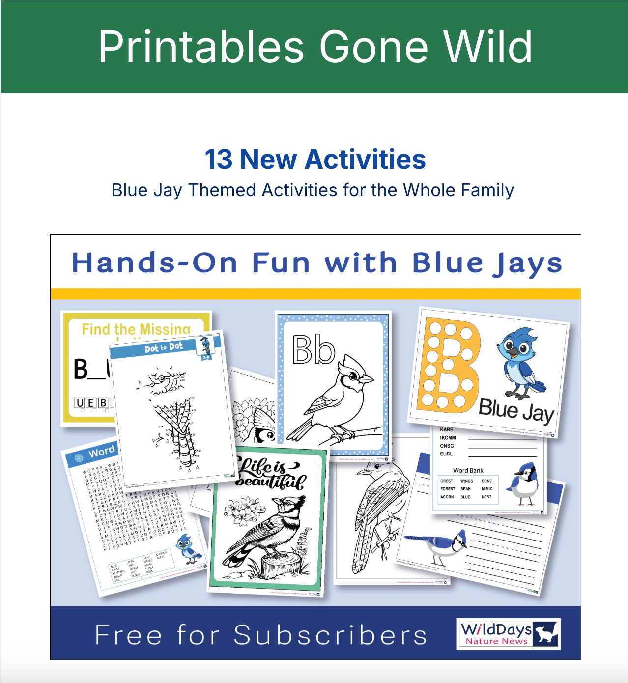 offering 13 free Blue Jay-themed activities for subscribers, including coloring pages.