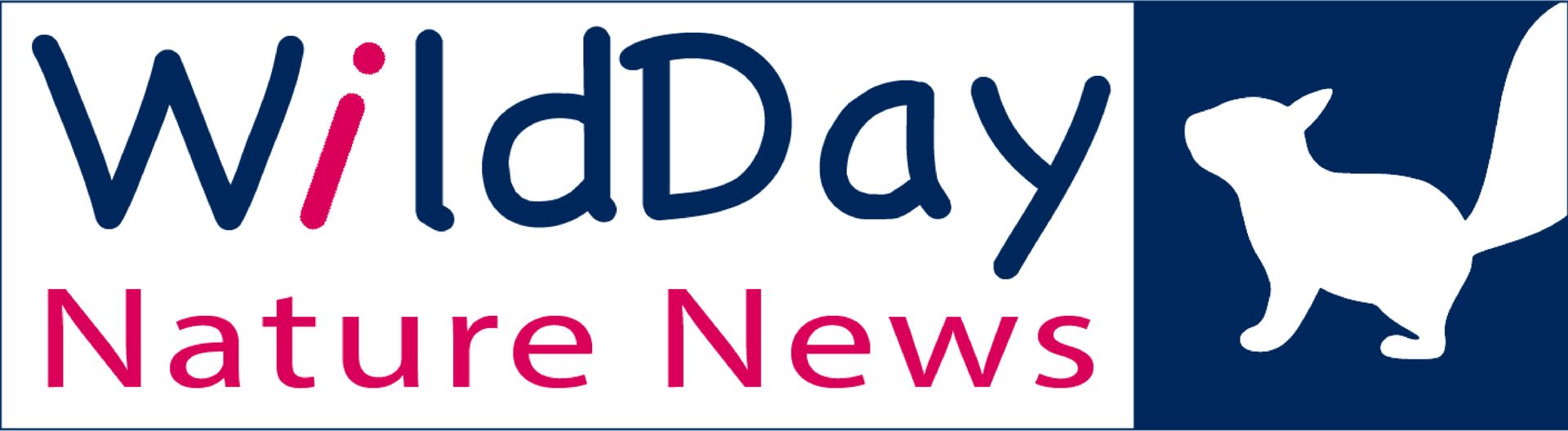 WildDay Nature News logo with blue and pink text and a white cat silhouette on a dark blue background