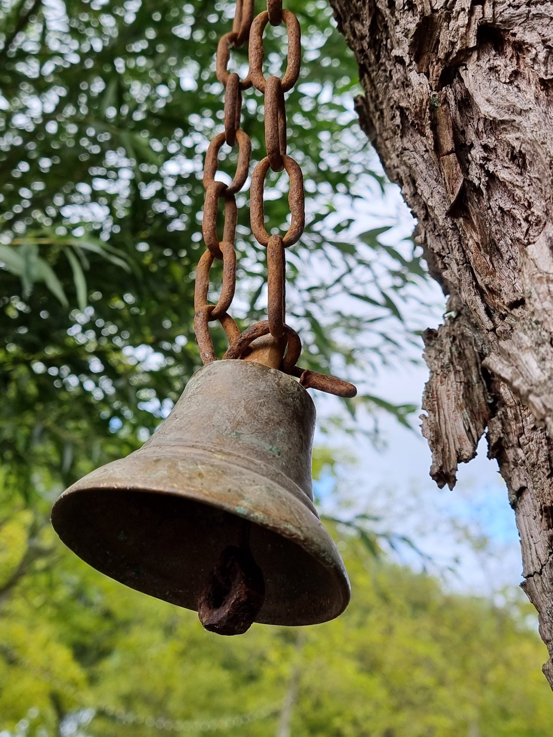 Een roestige bel hangt aan een ketting in een boom.