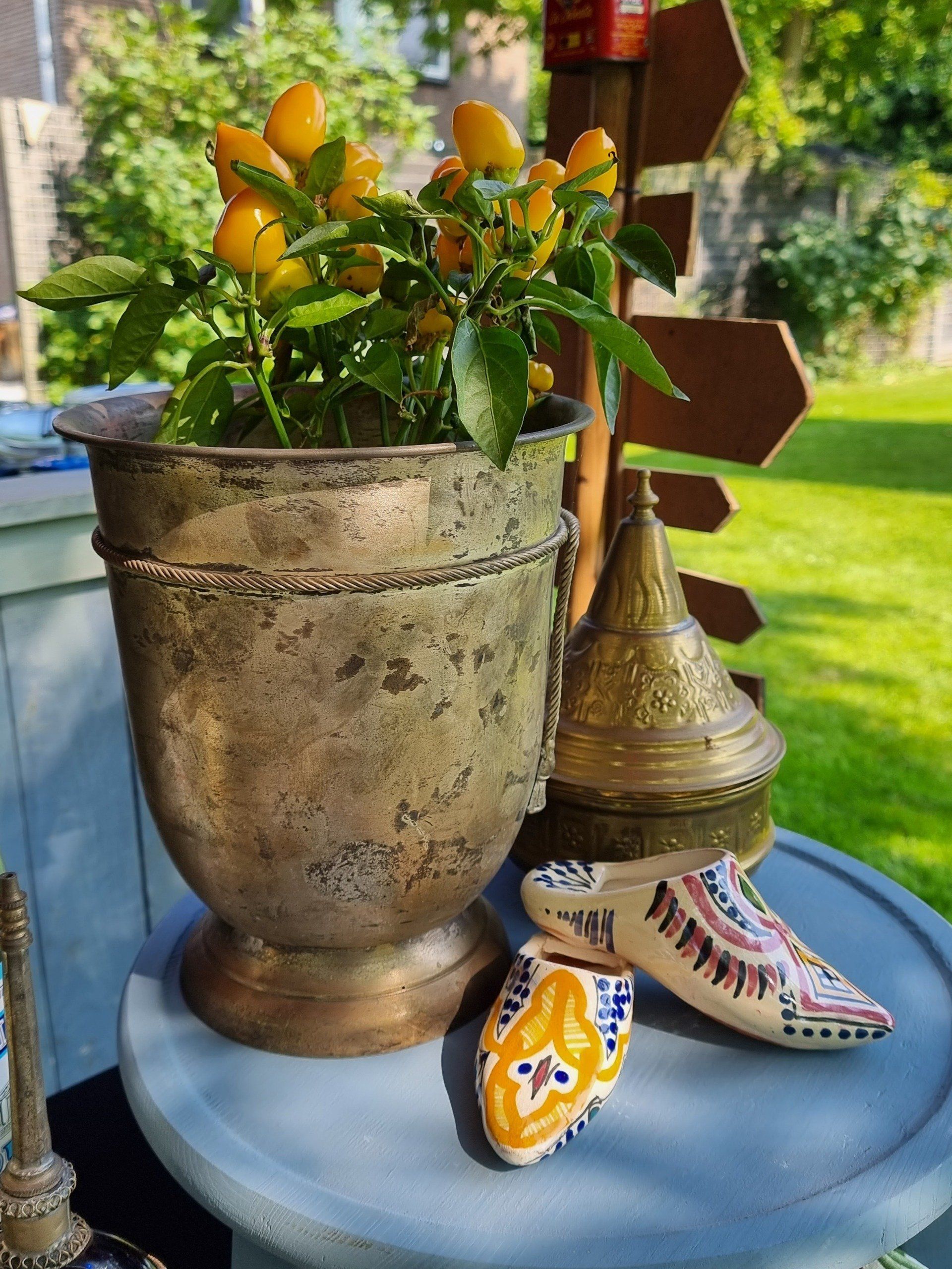 Een paprikaplant met gele vruchten in een verweerde metalen pot, naast decoratieve voorwerpen op een tafel.