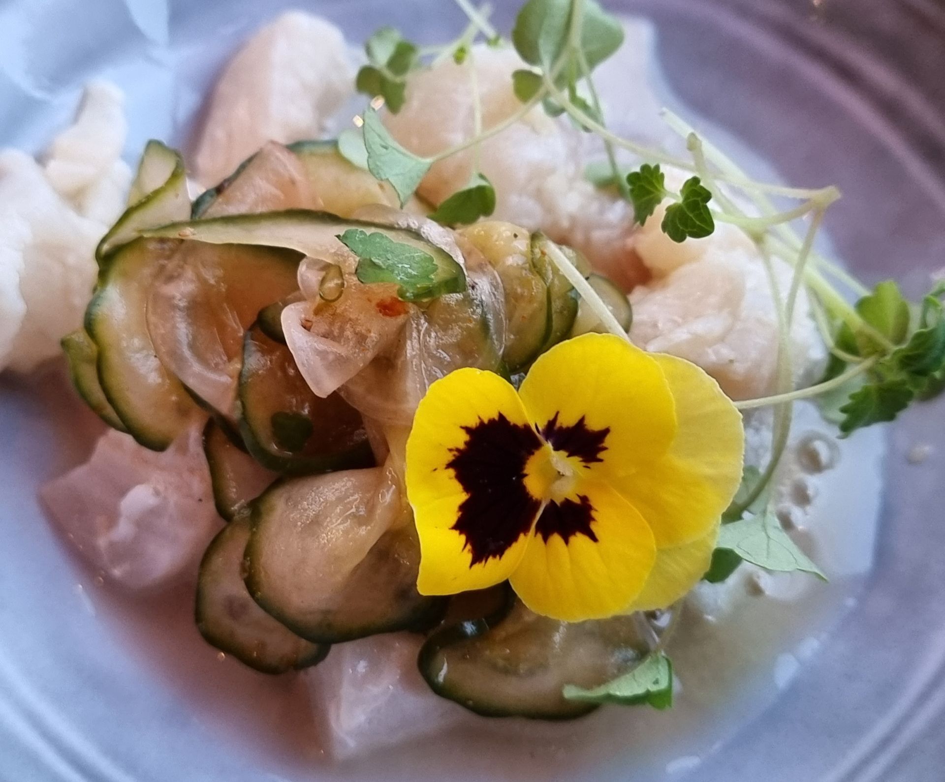 Close-up van een opgemaakt gerecht: witte vis, komkommer, bloemgarnituur en microgroenten in een lichte saus.