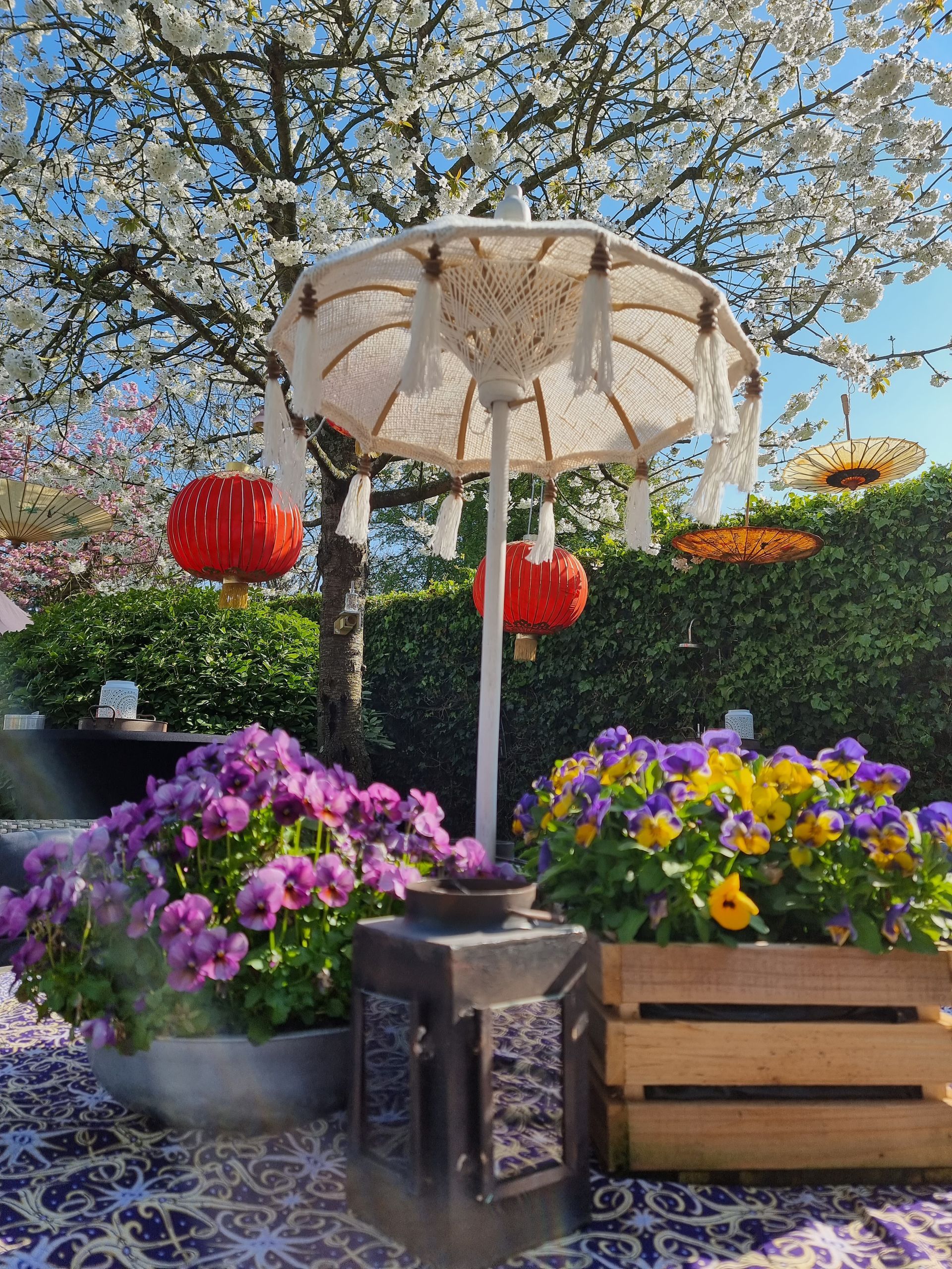 Terras met parasol, paarse en gele bloemen, rode lantaarns en een bloeiende boom op de achtergrond.