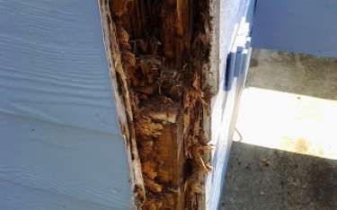 Decayed wood beam with extensive damage and exposed, crumbling interior.
