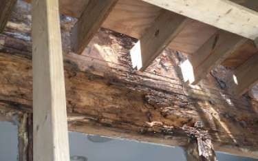 Severe wood rot in a building's framing, with exposed beams and deterioration.