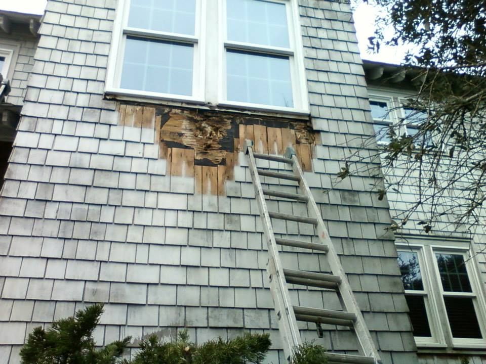 Damaged shingle siding on a house near a window. A ladder is leaning against the wall where wood is exposed.