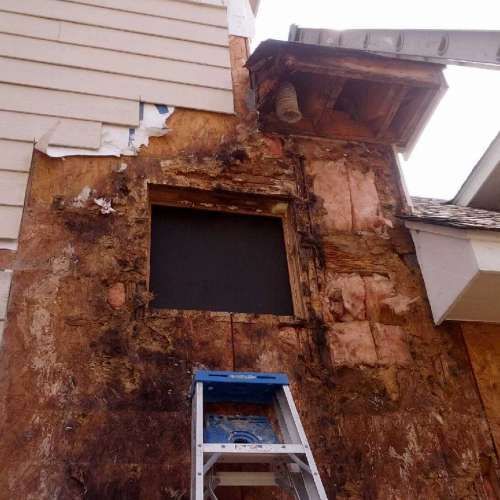 Exterior wall damage: Wood rot around window; a ladder is positioned below.