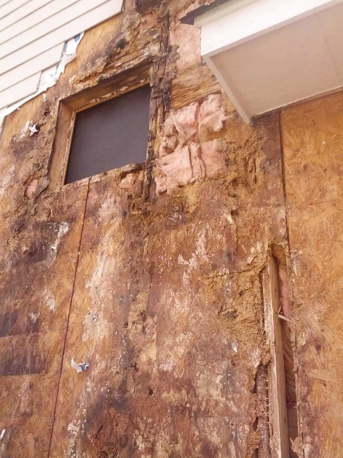 Exterior wall showing significant water damage and rot. Exposed plywood, insulation, and framing.
