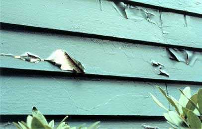 Peeling teal paint on wooden siding.