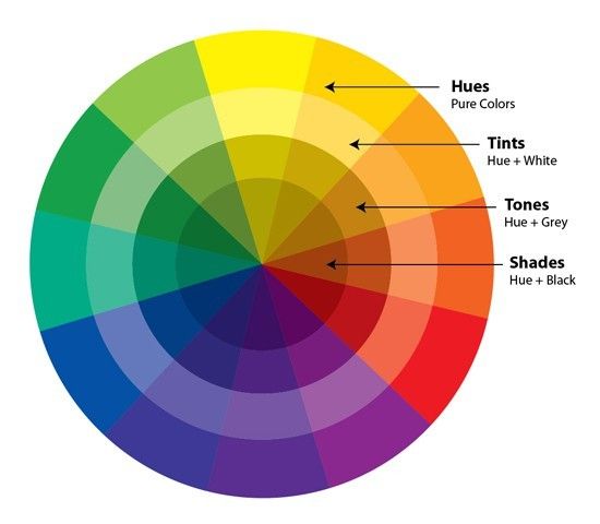 Color wheel with hues, tints (hue + white), tones (hue + gray), and shades (hue + black).