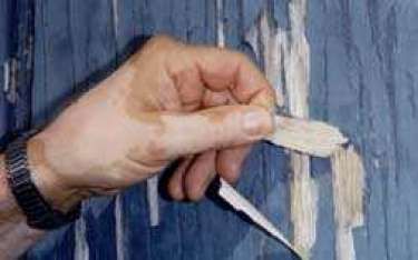 Hand peeling flaking paint from a blue wooden surface, revealing layers beneath.