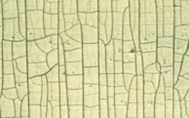 Close-up of a weathered surface with a grid-like pattern of cracks, in shades of pale yellow and tan.