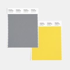 Two Pantone color swatches: one gray, one yellow.