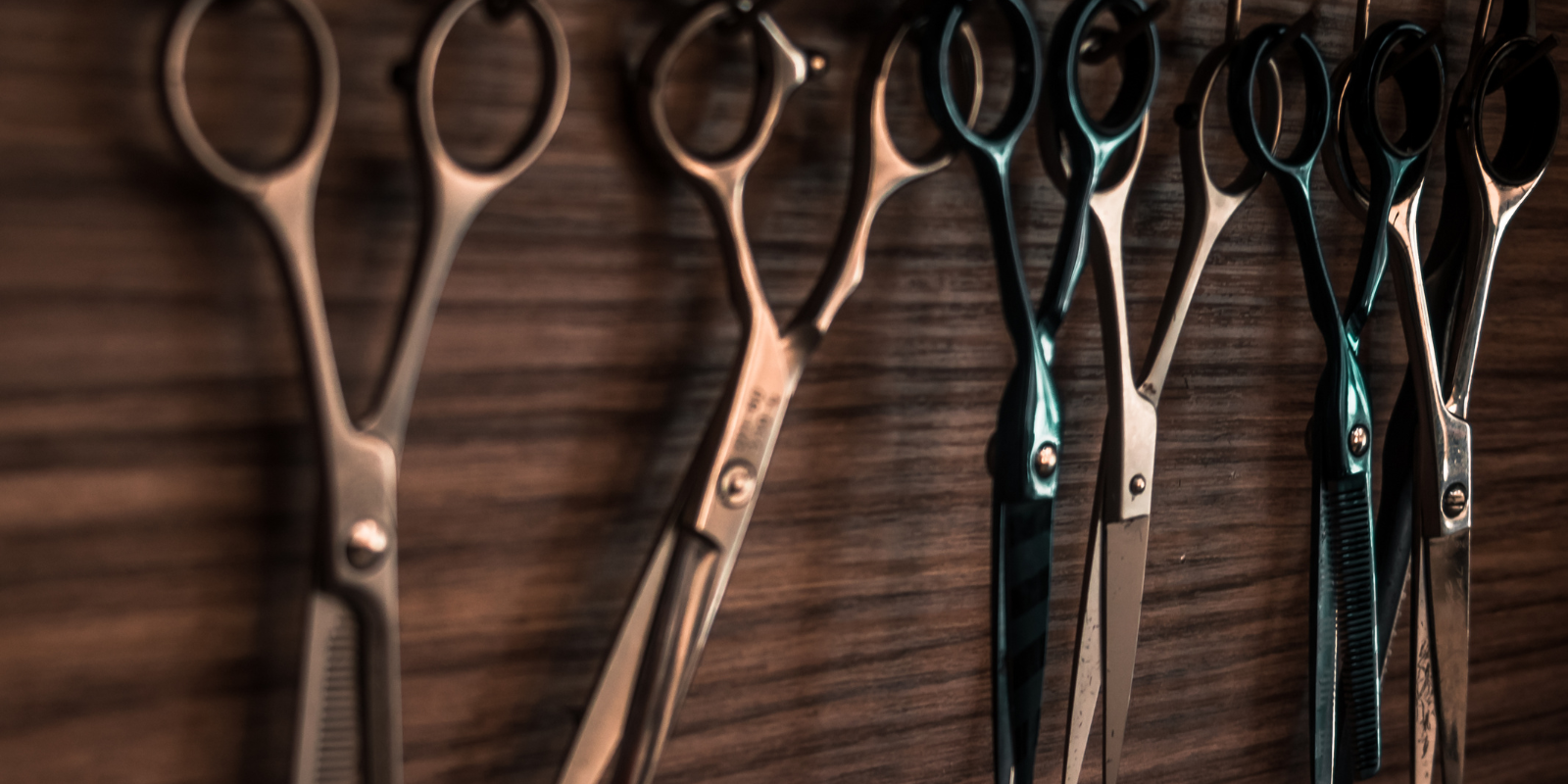 Great Clips Yelp case study