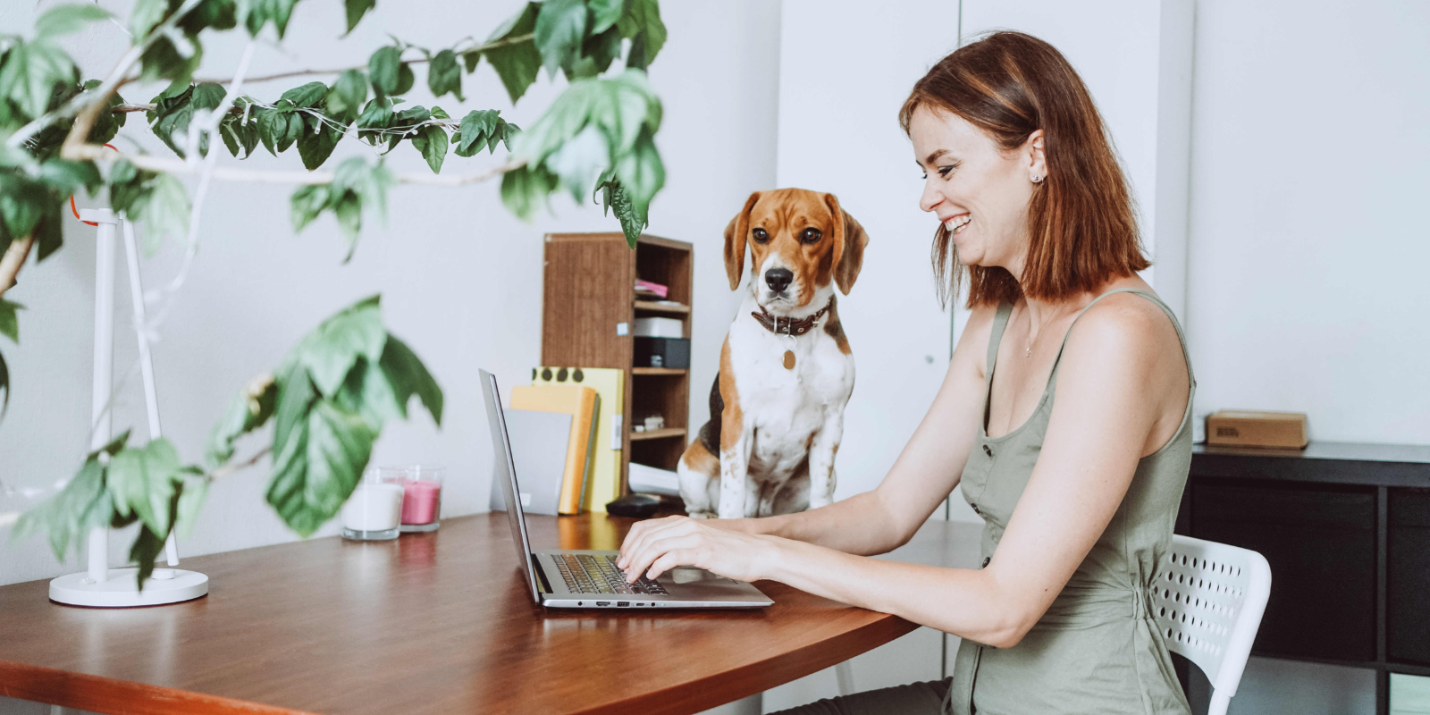 Why you need a San Diego SEO company