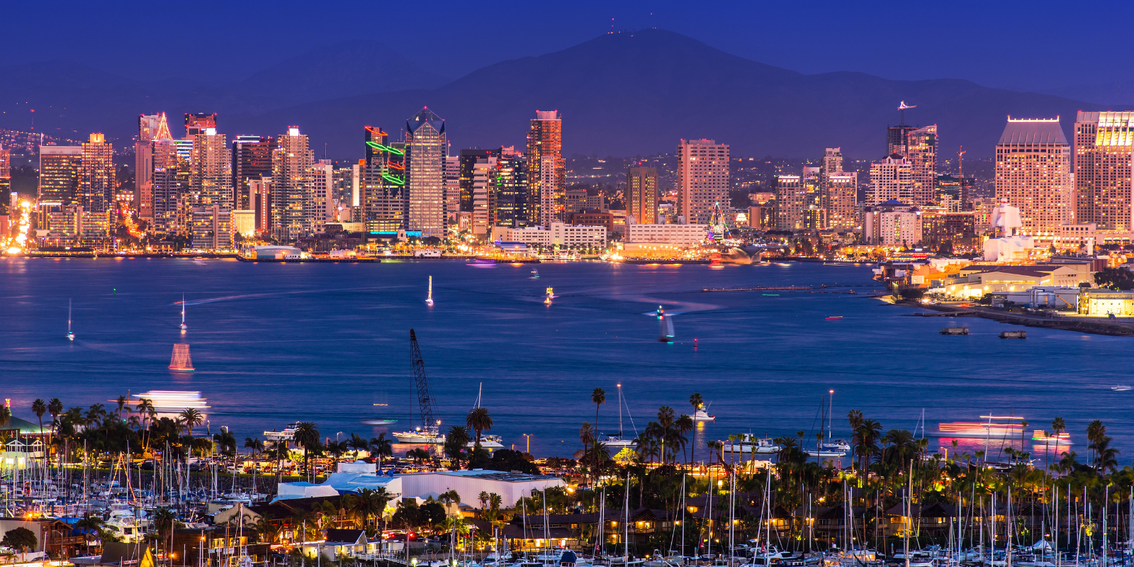 Website Design San Diego