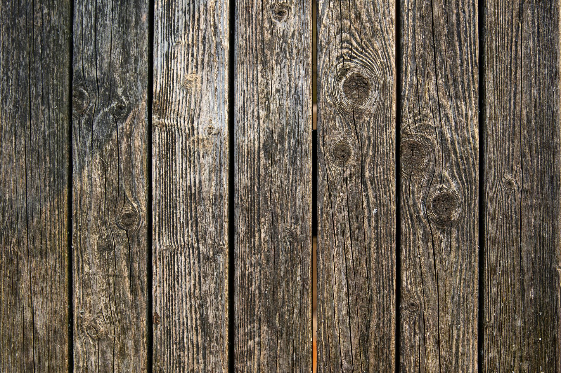 Fencing Repair Near Me | Glasgow Fence Experts