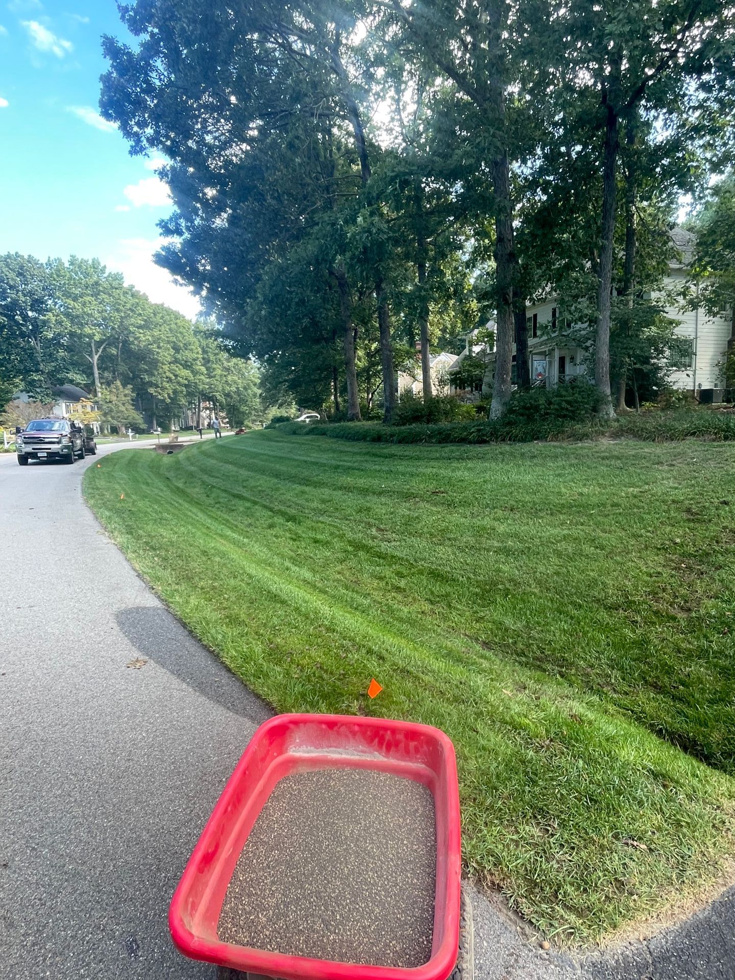 lawn seeding, lawn fertilizer