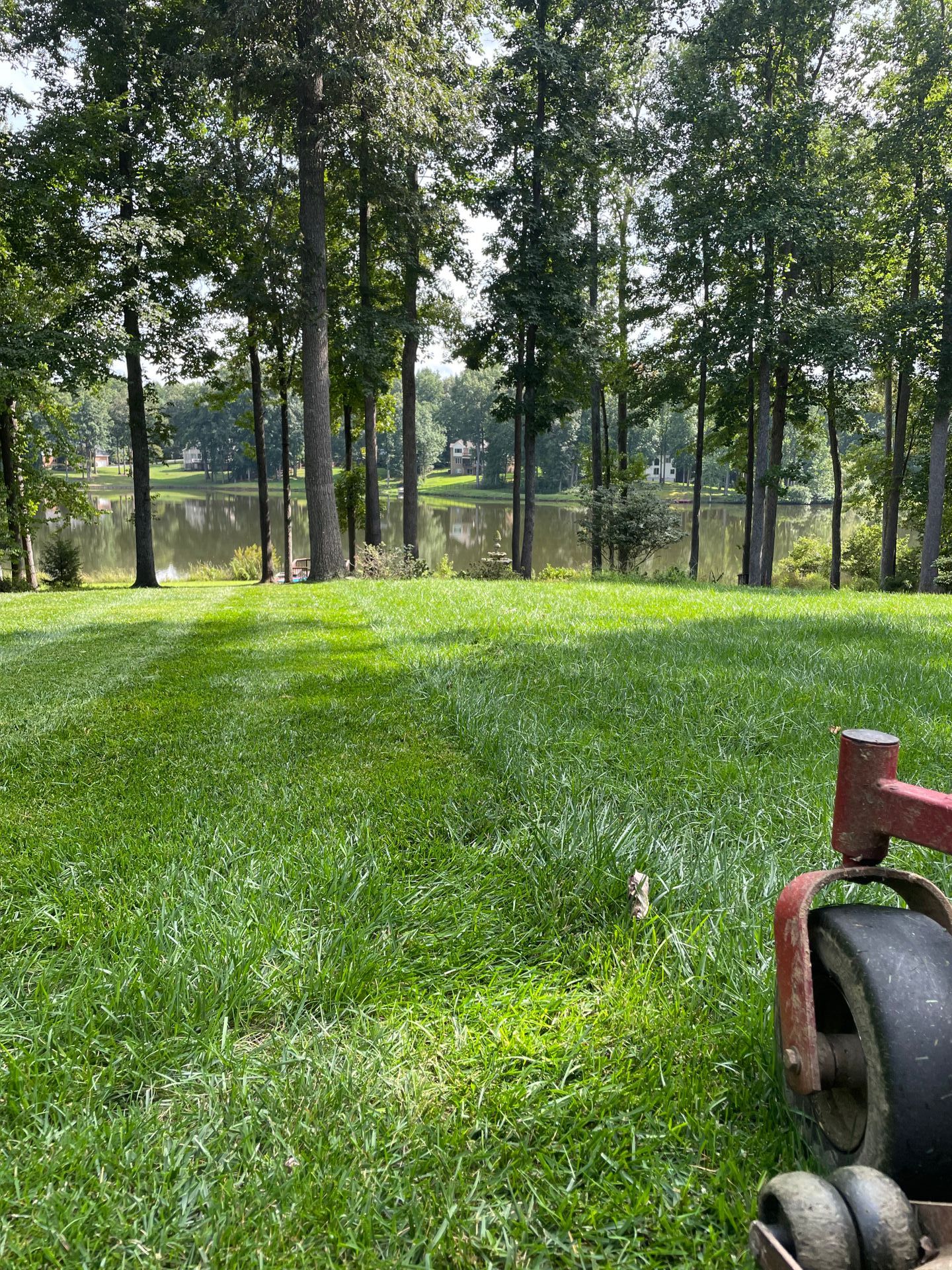 lawn care services