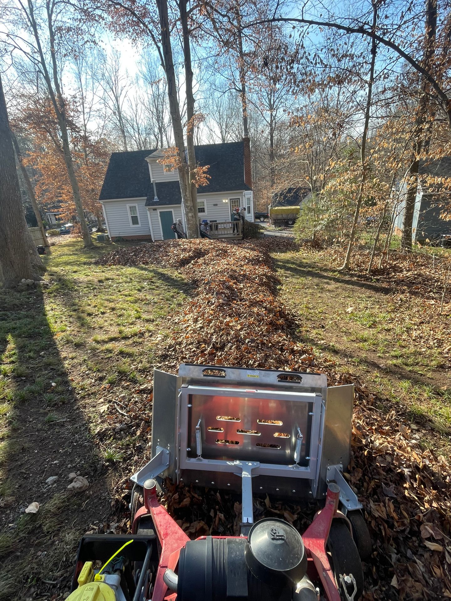 removing leaves in chesterfield