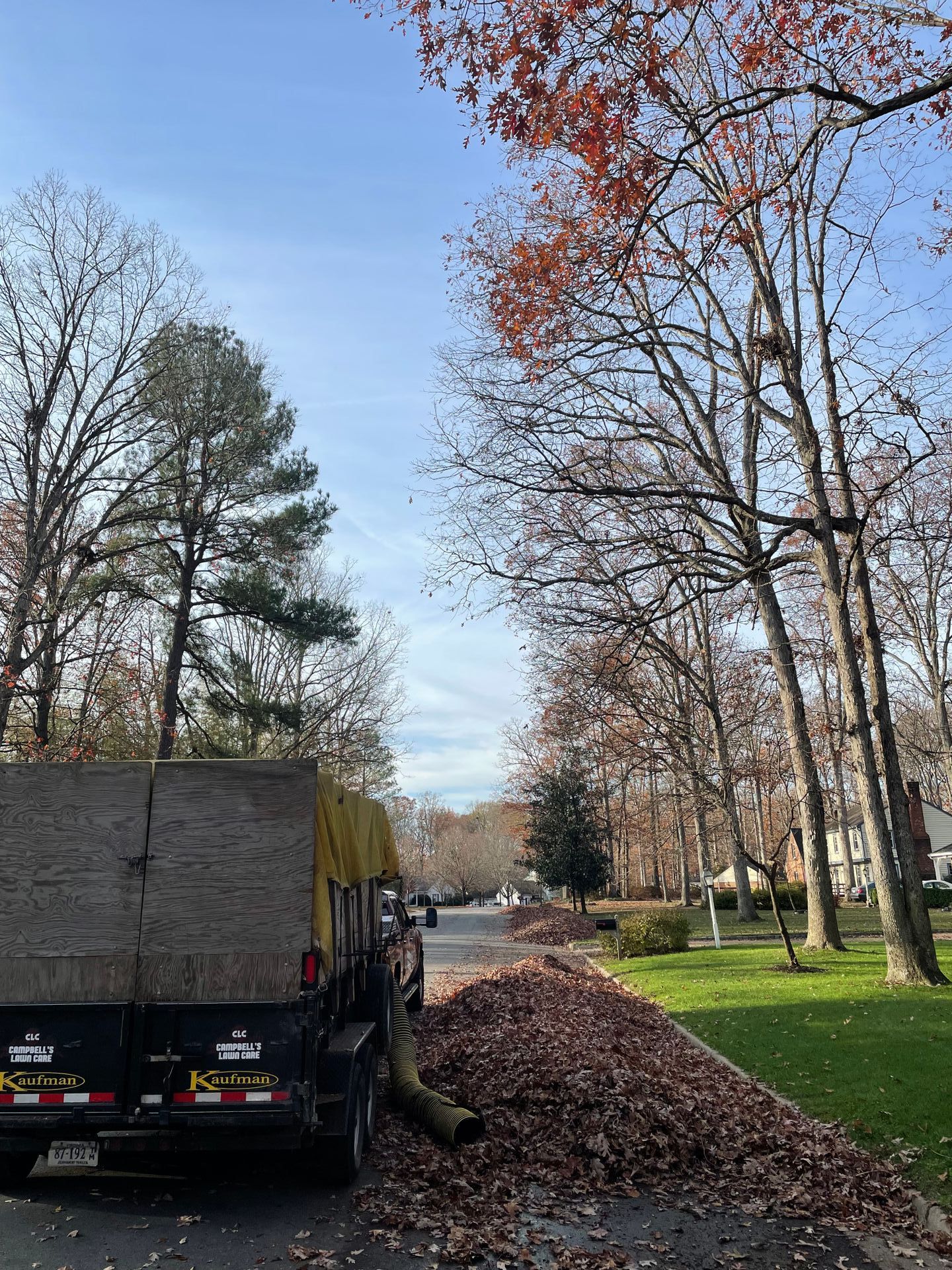 leaf removal, leaf curbside pickup services
