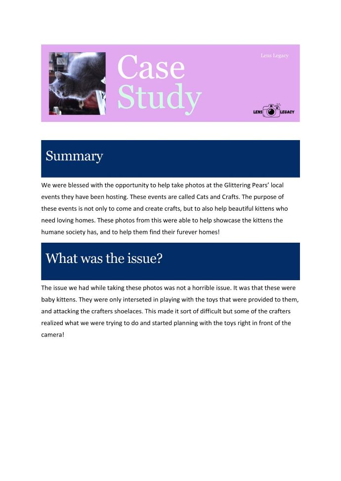 Case study page with pink header, blue section bars, and a small photo thumbnail.