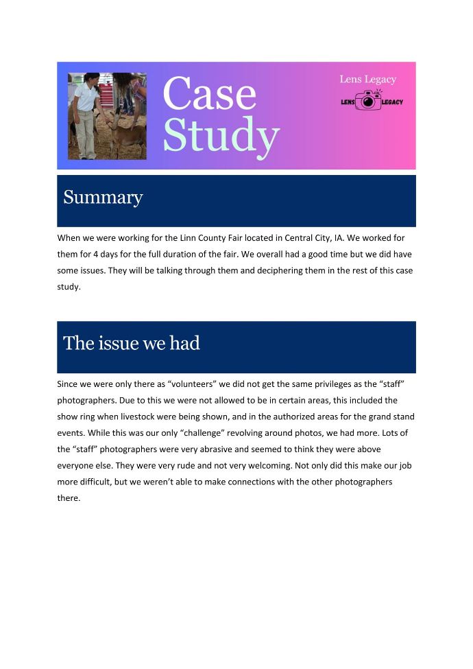 Case study page with pink header, small photo, and sections titled “Summary” and “The issue we had”