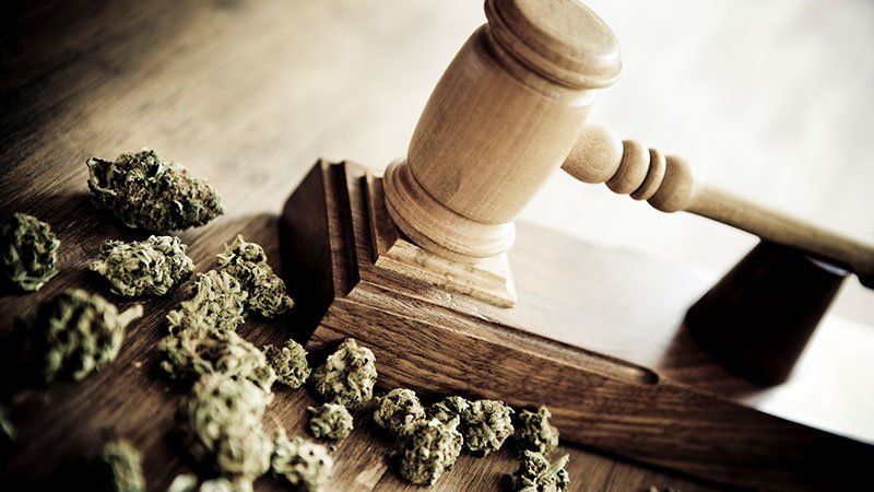 Cannabis Law