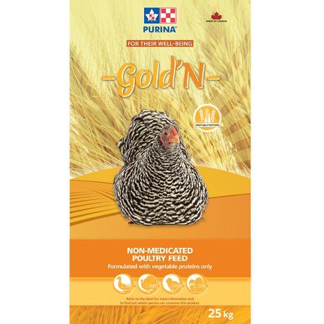 Chicken Feed