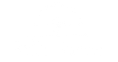 Blank white image with a black horizontal bar along the bottom edge