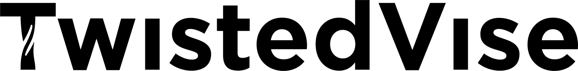 TwistedVise logo in bold black text on a white background