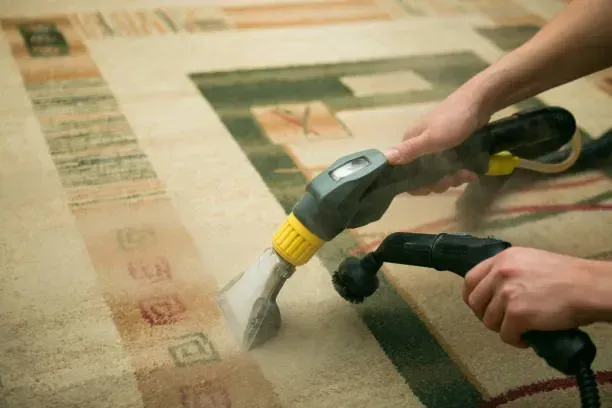 A person is cleaning a rug with a vacuum cleaner.