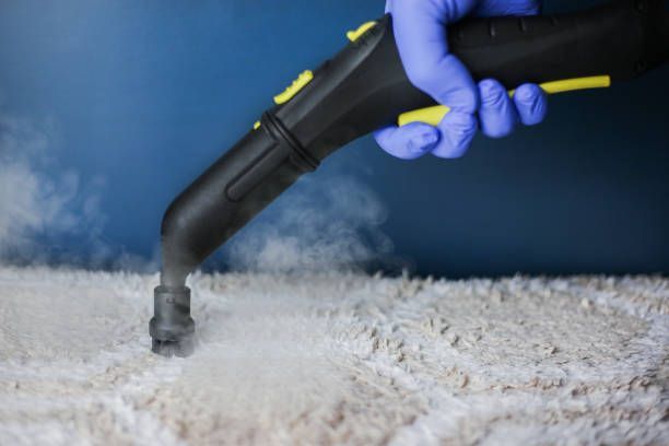 A person is using a steam cleaner to clean a carpet.