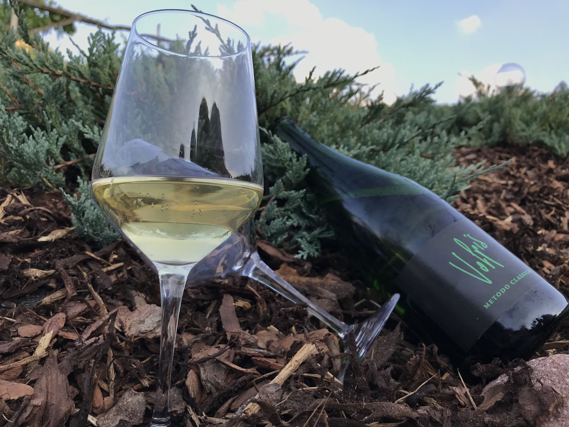 Bicchiere e bottiglia di vino appoggiati su trucioli di legno all'aperto, con cespugli verdi sullo sfondo.