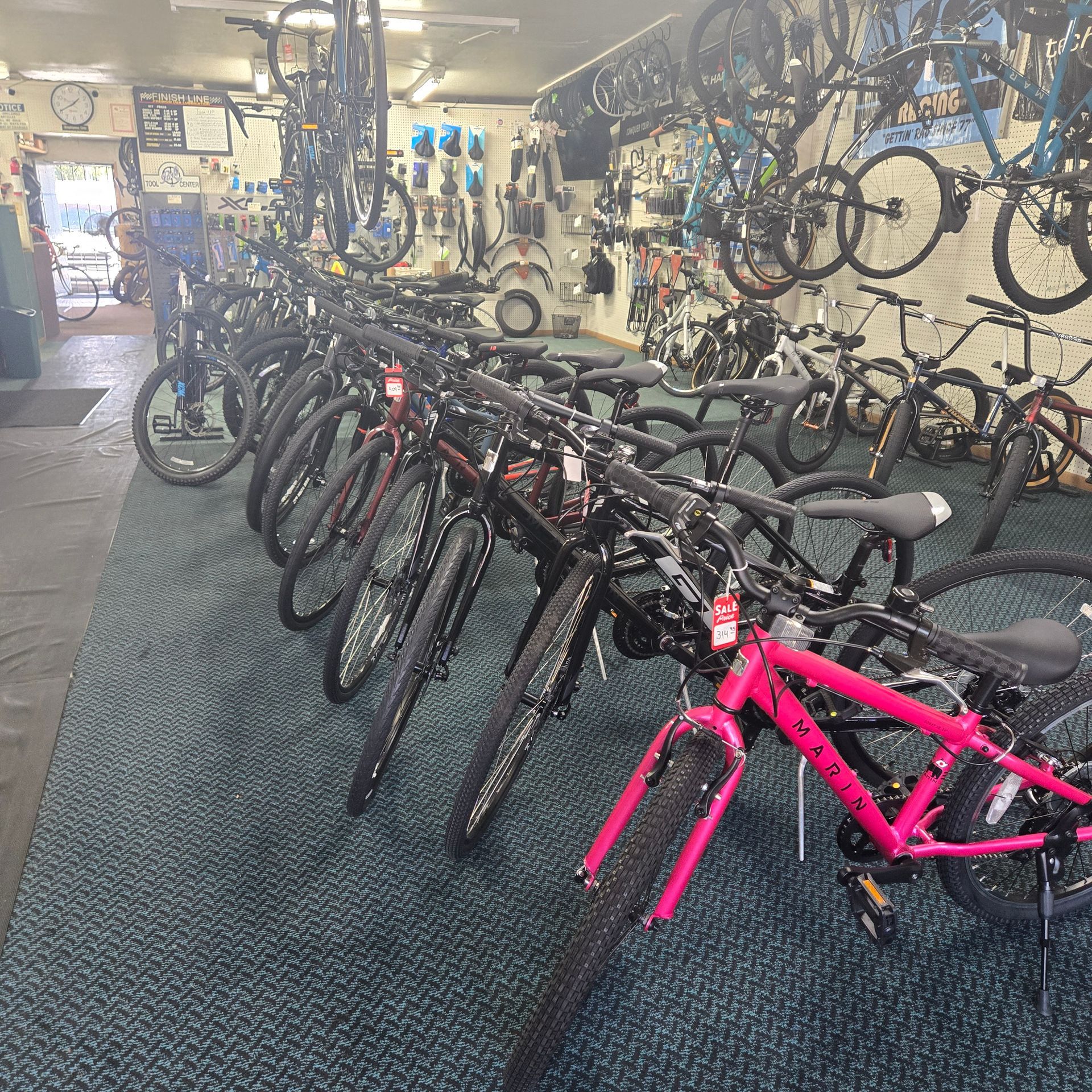 A row of pink bikes are lined up in a bicycle store.