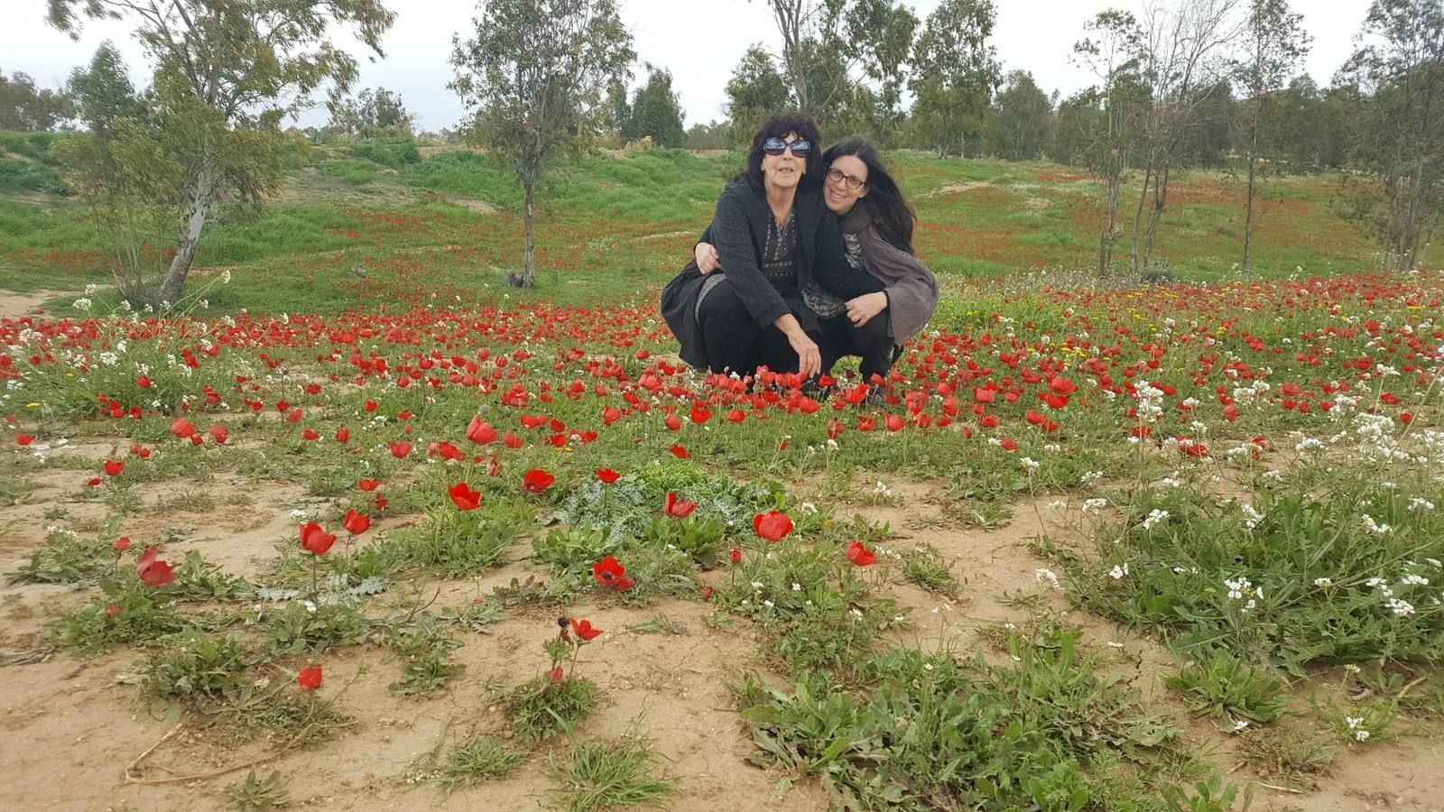 שושי בשדה הכלניות