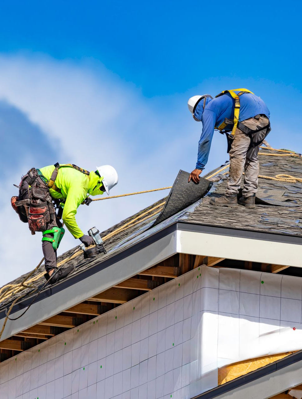 Roofing contractor team in safety harnesses installing shingles on a residential roof
