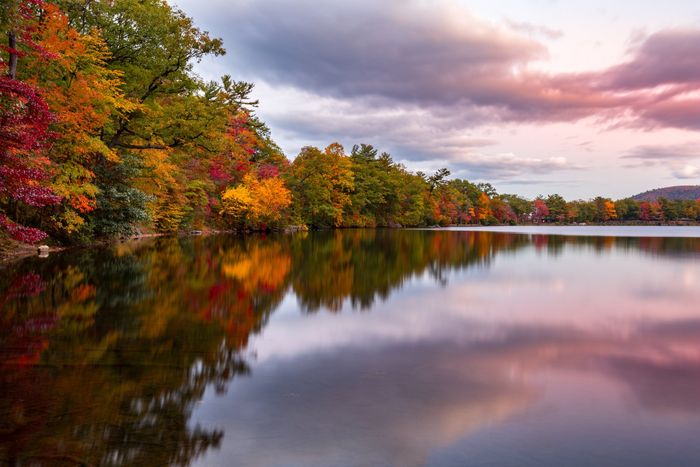 Fall Foliage Reflects On Lake — New Franklin, OH — First Security Title Corp. Fall Foliage Reflects On Lake — New Franklin, OH — First Security Title Corp.