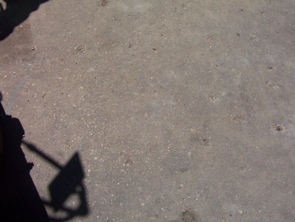 Cracked gray pavement with a dark shadow in the lower left corner.