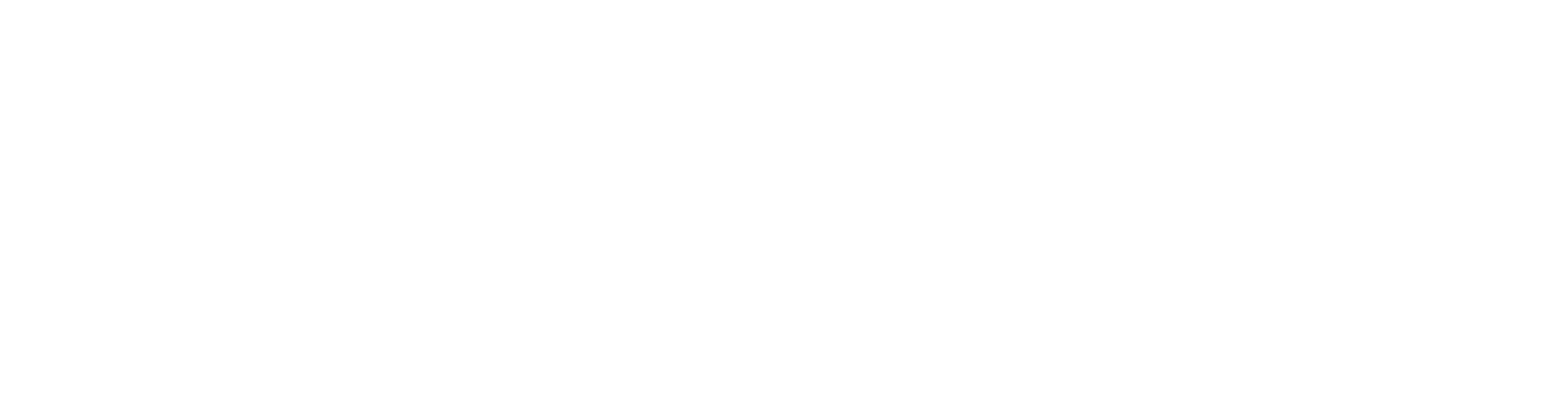 Nitra-Seal logo