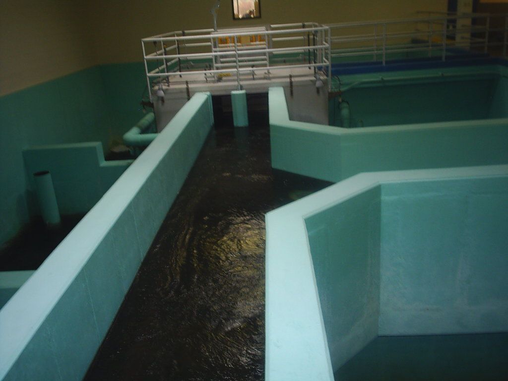 Large indoor aquaculture tanks with turquoise walls and dark water under overhead lights