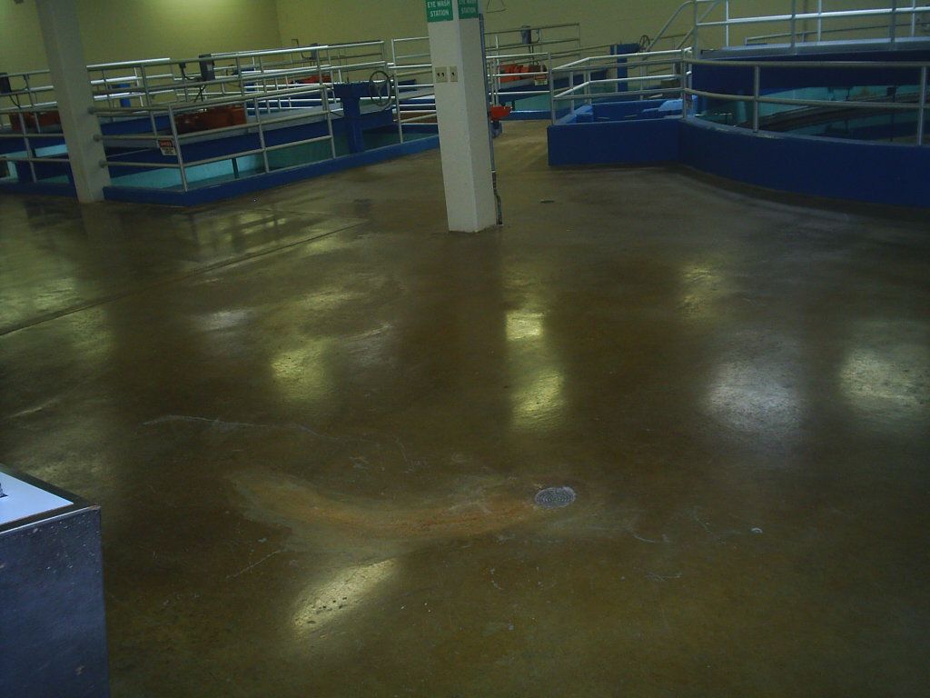 Empty indoor room with glossy brown floor and blue platform beds along the walls