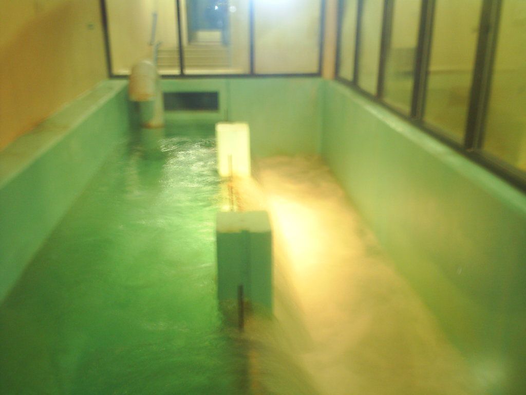 Indoor pool with green water and a narrow central walkway beside windows and walls