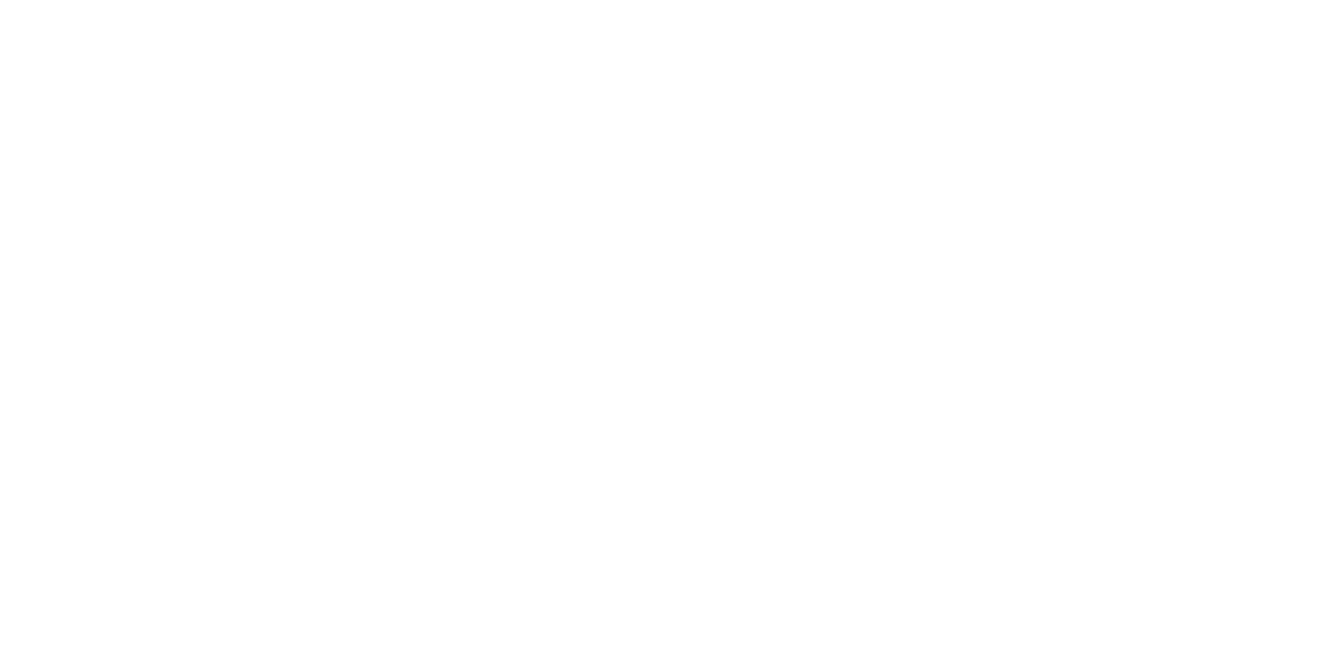 Terra Shield logo