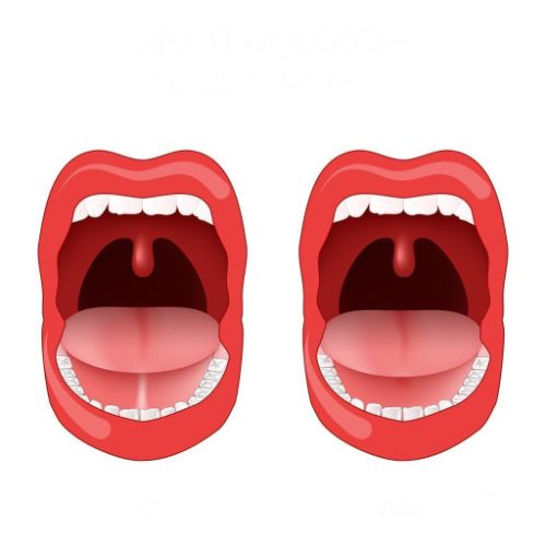 A cartoon illustration of a woman 's mouth open and closed.