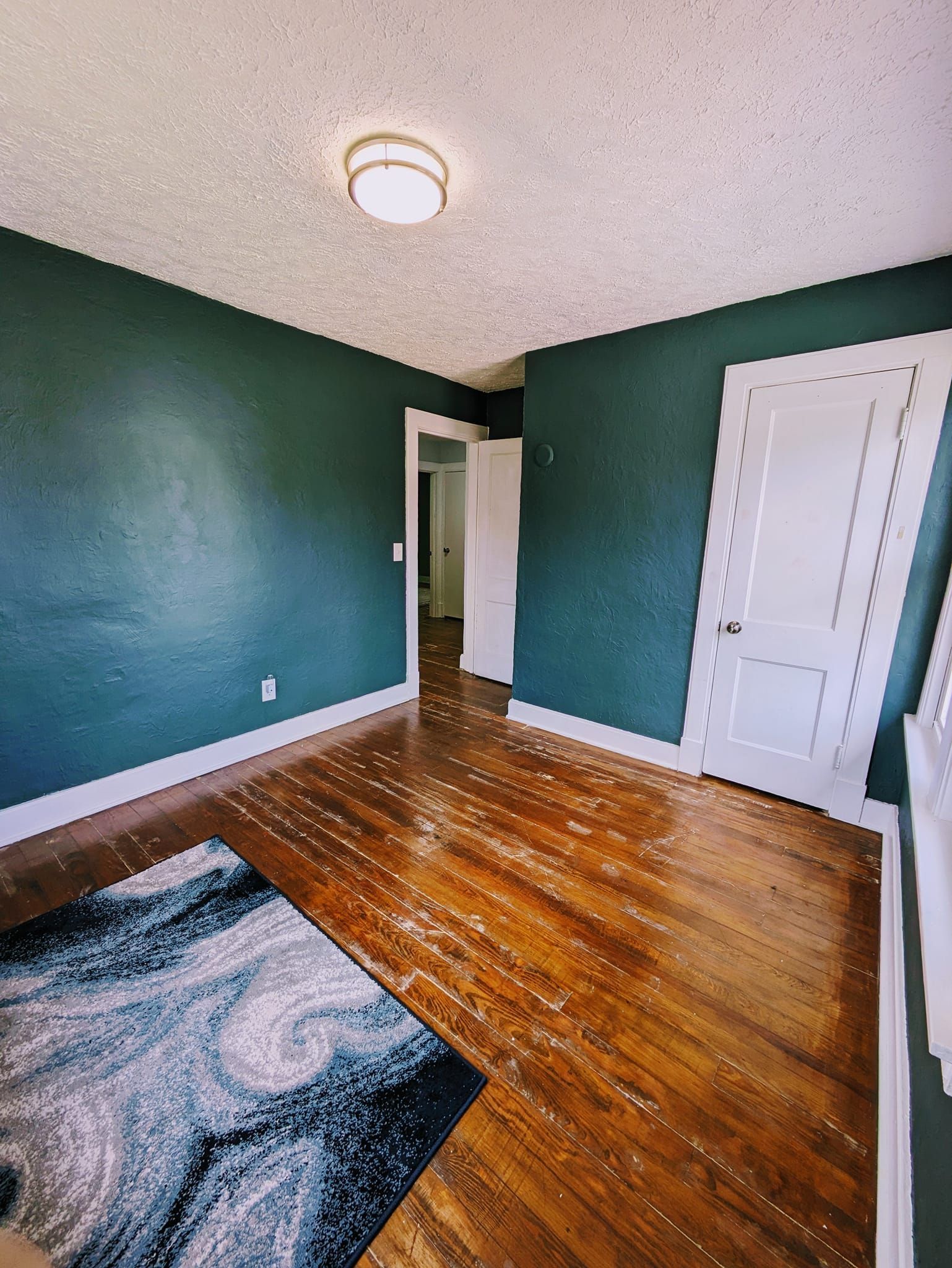 Empty room with green walls, hardwood floors, white closet doors, and a ceiling light.