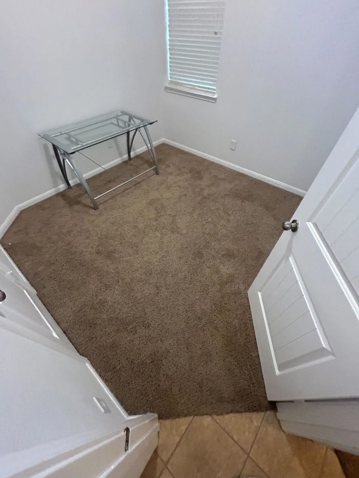 Dirty Brown Carpet