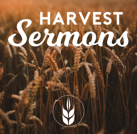 A picture of a field of wheat with the words `` harvest sermons '' written above it.